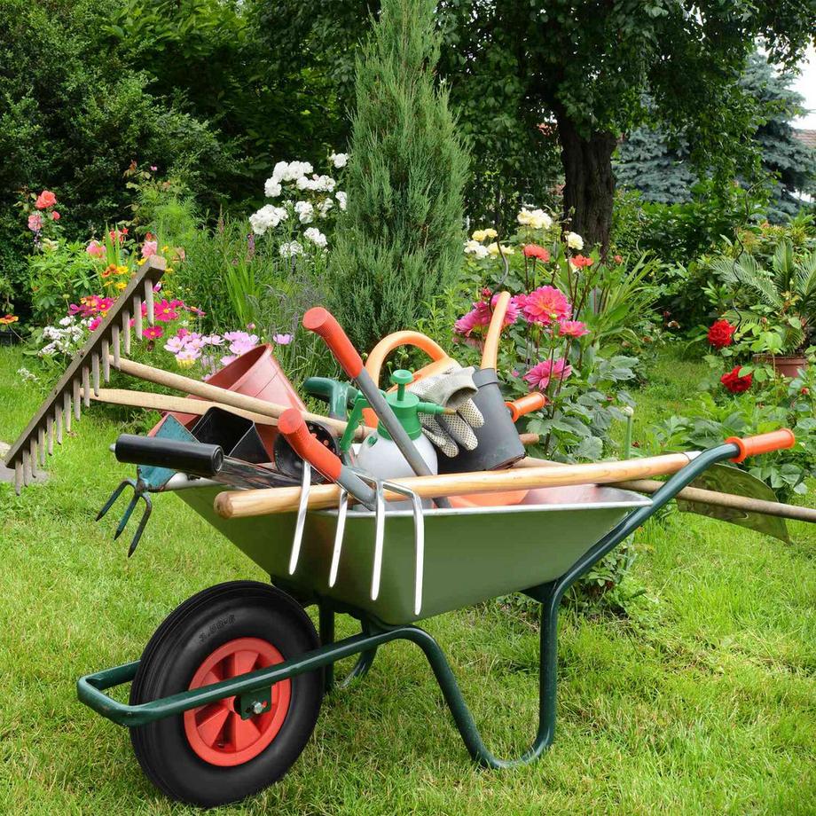 B2X  Rad für Schubkarre 3.50-6 in/rot 