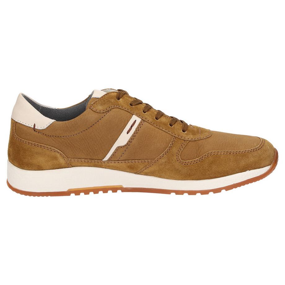 Sioux  Sneaker Rojaro-700 