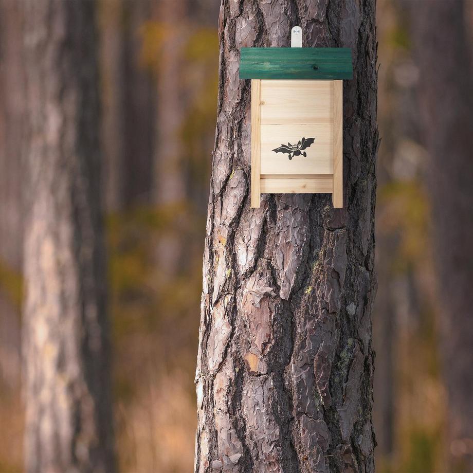 B2X  Fledermaushaus mit Gründach 