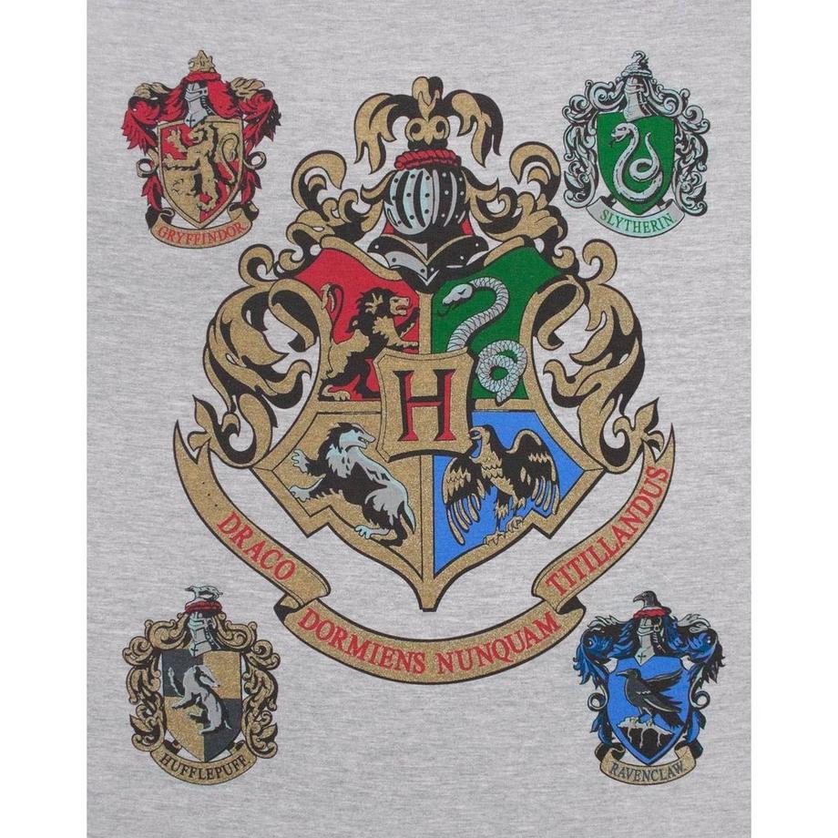 Harry Potter Hogwarts Raglan Top  