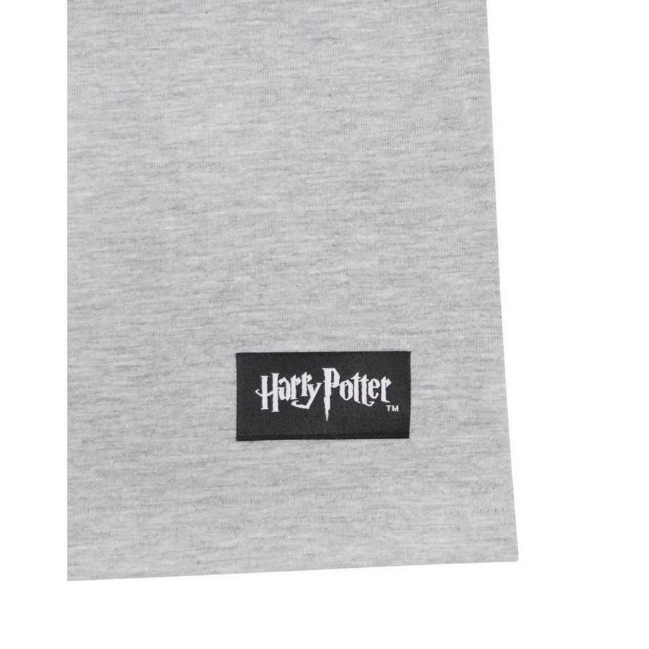 Harry Potter Hogwarts Raglan Top  