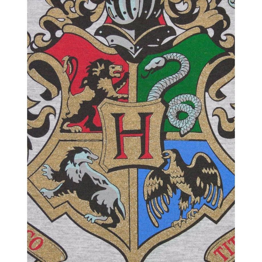 Harry Potter Hogwarts Raglan Top  