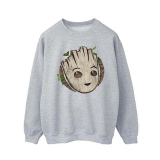 MARVEL  I Am Groot Sweatshirt 