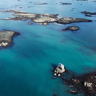 Sekoya Swiss  Lithothamne | Contre les brûlures d’estomac 