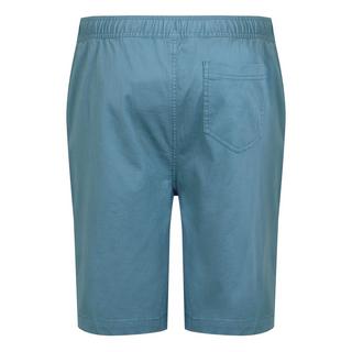Regatta Aldan Shorts  