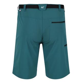 Regatta  Xert III Shorts 