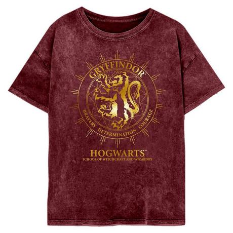 Harry Potter  Gryffindor Constellation  T-Shirt 