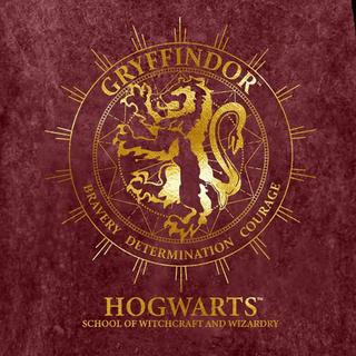 Harry Potter  Gryffindor Constellation  T-Shirt 