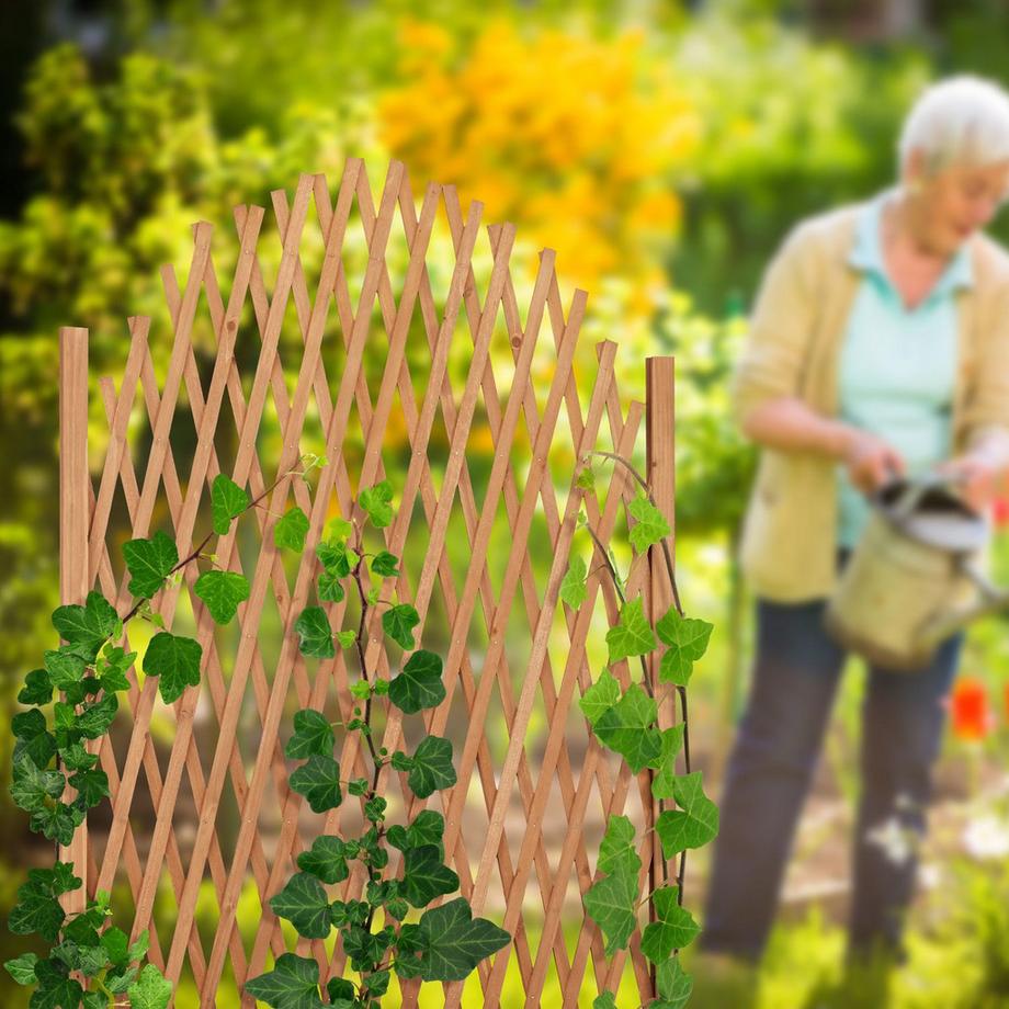 B2X Ausziehbare Kletterhilfe aus Holz  