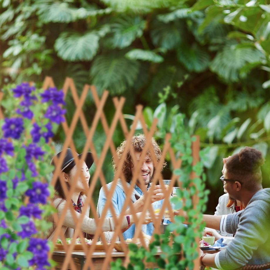 B2X Ausziehbare Kletterhilfe aus Holz  