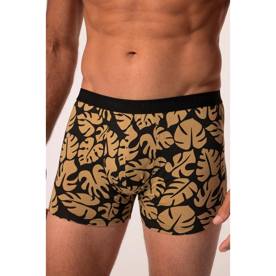 JP1880 FLEXNAMIC OEKO-TEX Hip-Pants 2er-Pack  