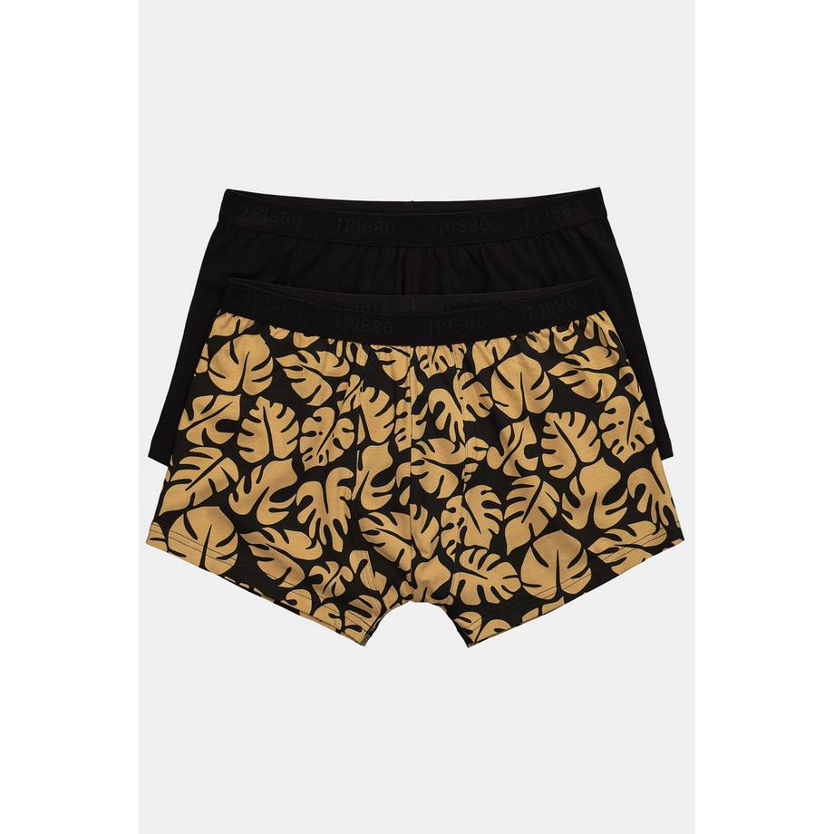 JP1880 FLEXNAMIC OEKO-TEX Hip-Pants 2er-Pack  