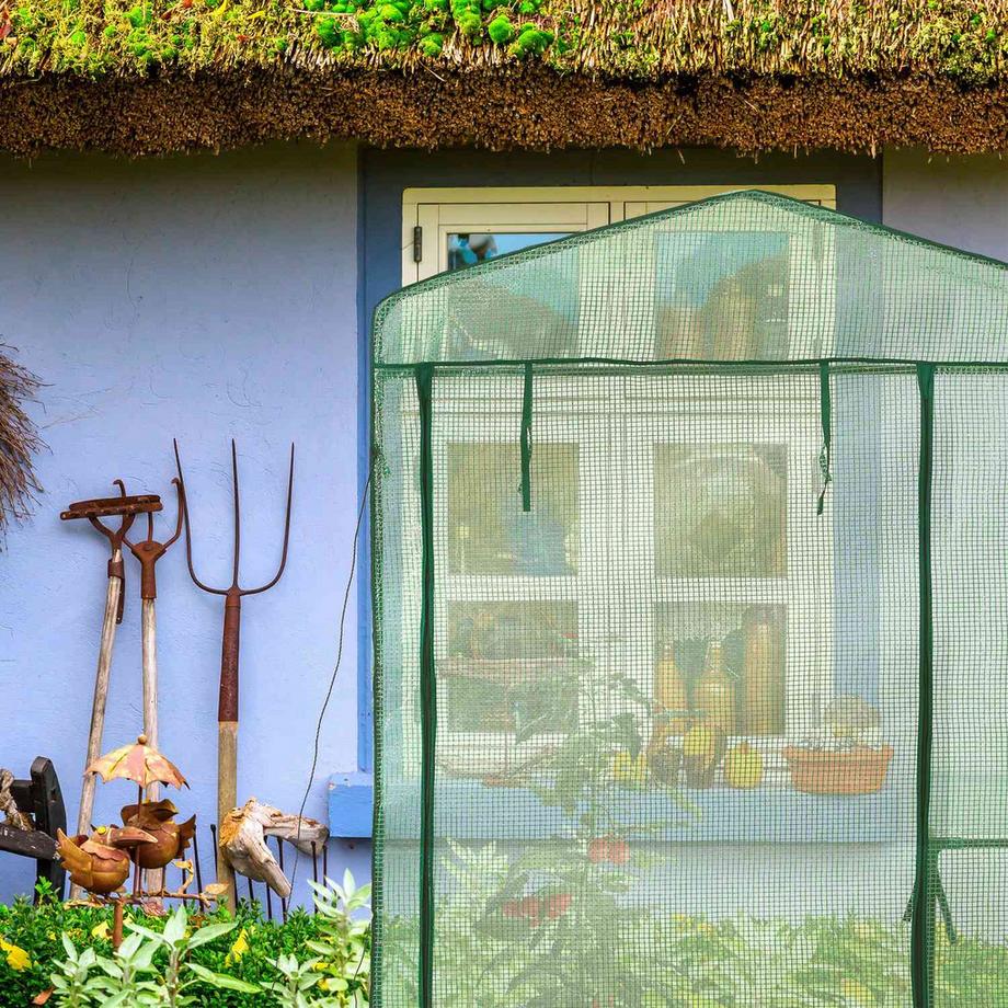 B2X Foliengewächshaus mit Regal  