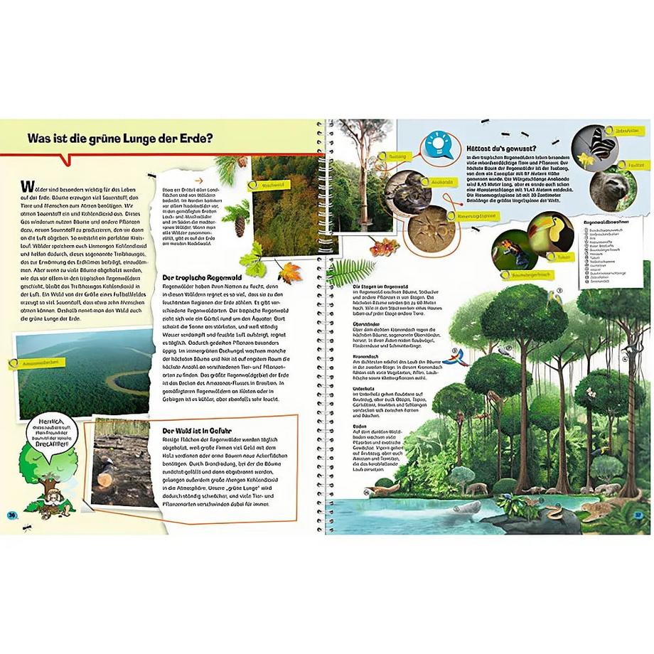 Wieso? Weshalb? Warum? Die Erde (Nr.1) X Spiralbindung 