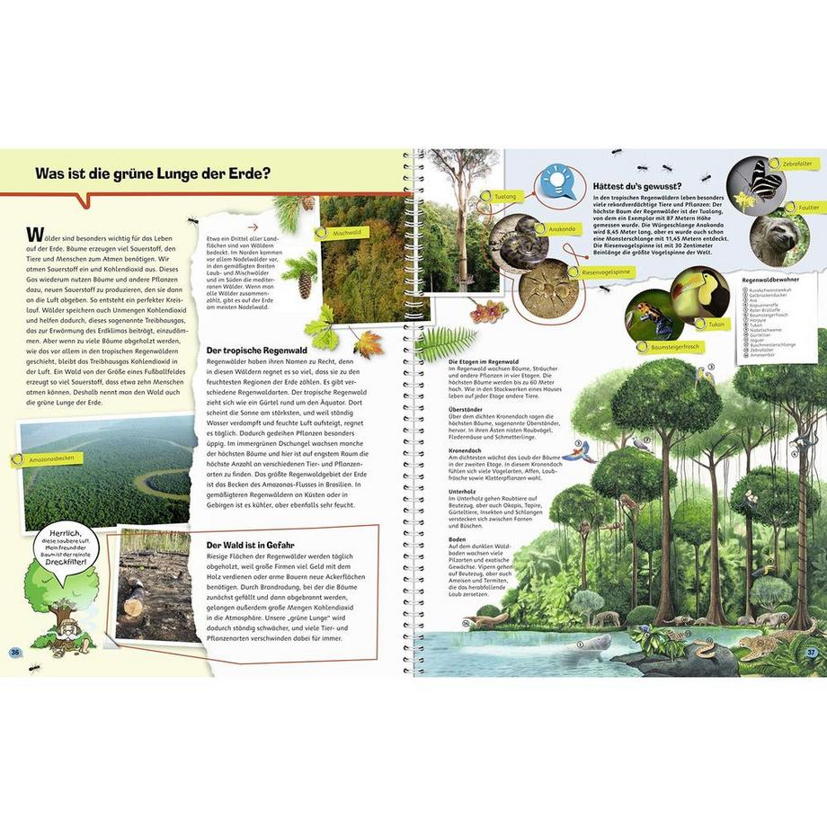 Wieso? Weshalb? Warum? Die Erde (Nr.1) NICHT KLASSIFIZIERT Livre à spirale 