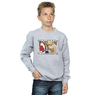 Friends  I Am The Holiday Armadillo Sweatshirt 