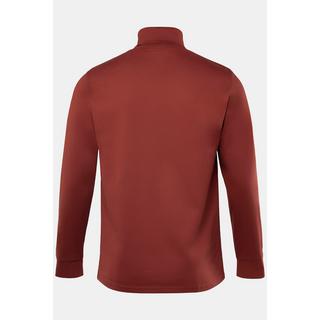 JP1880  Rollkragen-Shirt, Basic, Jersey, lange Ärmel 