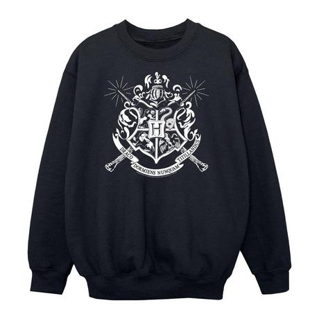 Harry Potter  Sweatshirt 