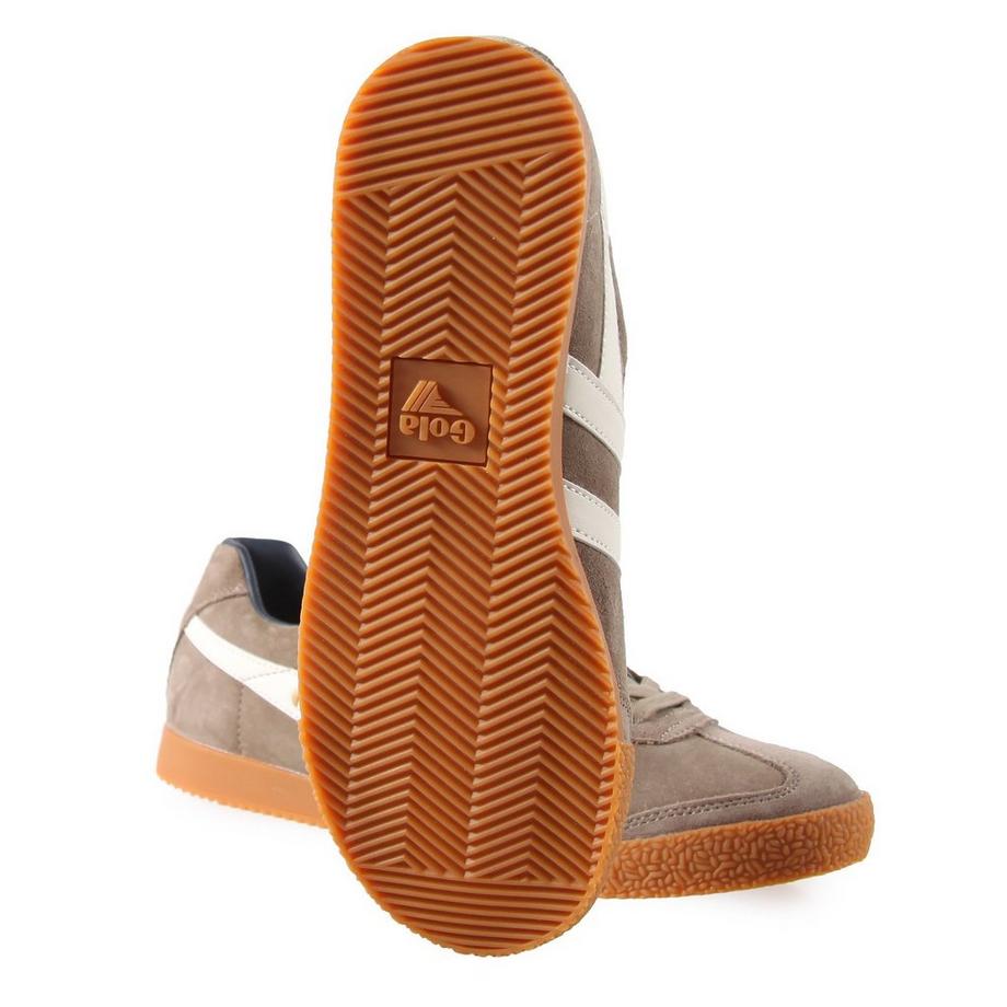 gola  Baskets Harrier 