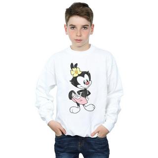 Animaniacs  Sweatshirt 