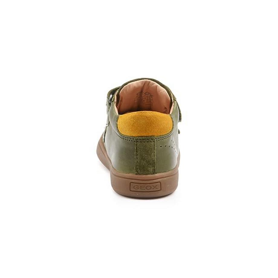 GEOX Biglia-22 Low Top Sneakers  