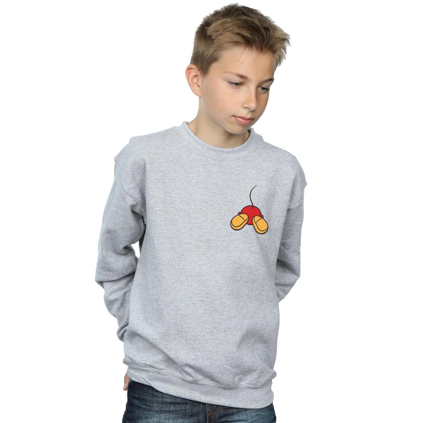 Disney  Sweatshirt 