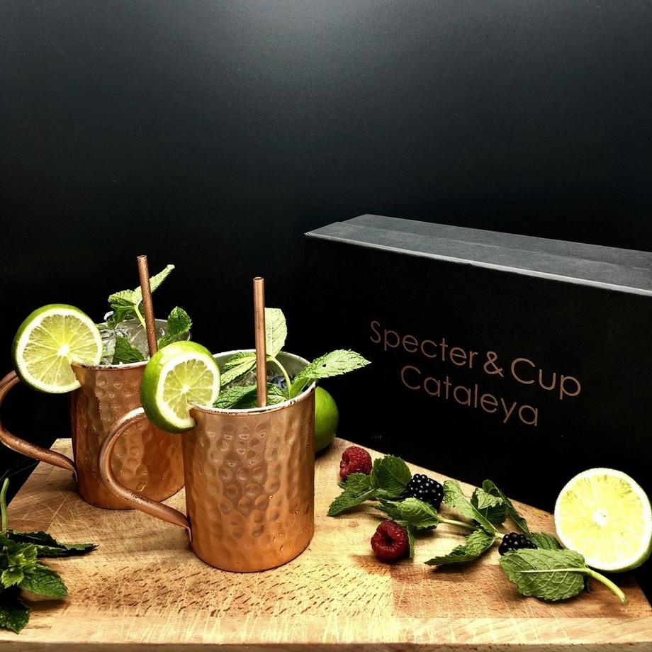 Specter & Cup Kupferbecher-Set Cataleya  