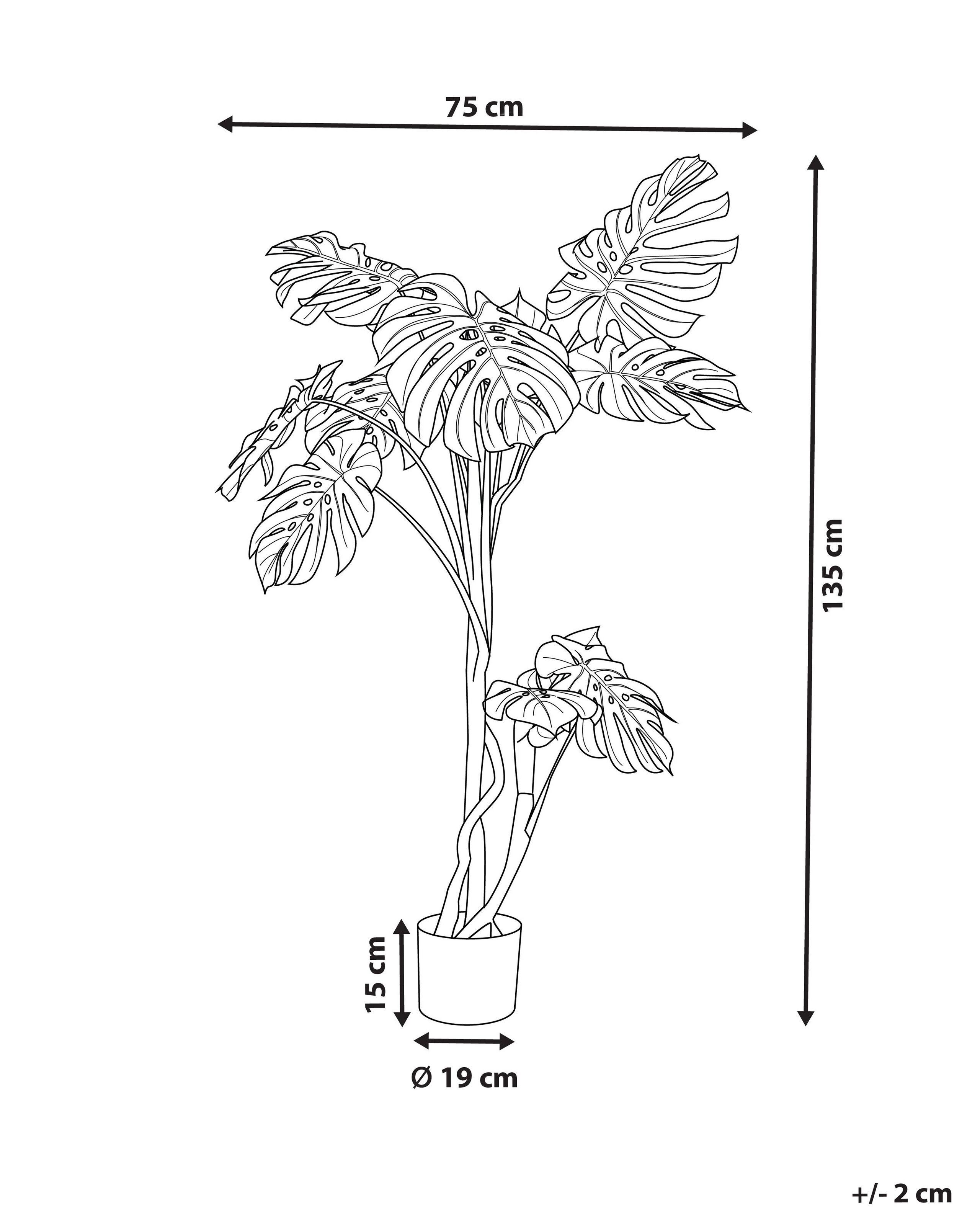 Beliani Plante artificielle en Matière synthétique MONSTERA PLANT  
