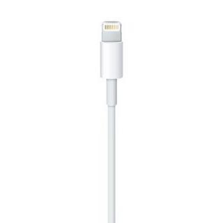 Apple  Cavo da Lightning a USB (0.5 m) 