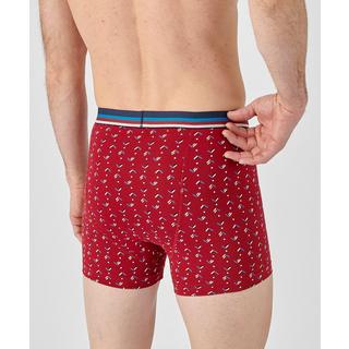 Damart  Lot de 3 boxers ouverts. 