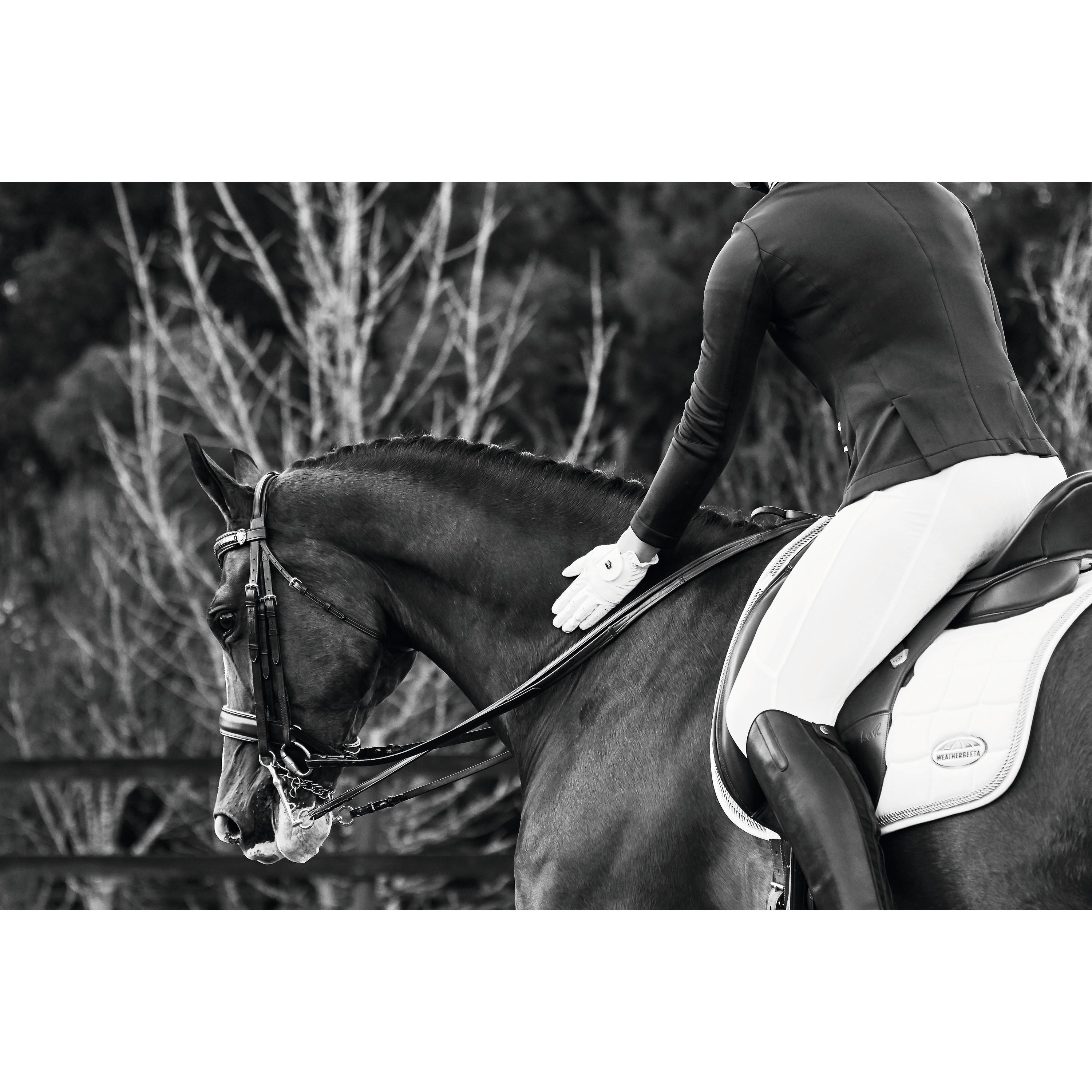 Weatherbeeta Performance Cool-It Gel Legging équitation  