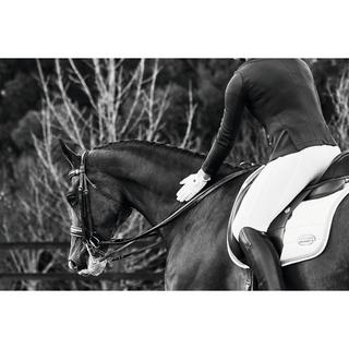 Weatherbeeta Performance Cool-It Gel Legging équitation  