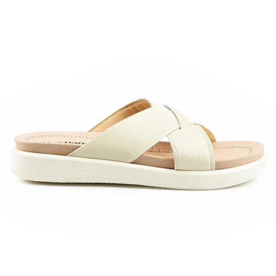 Westland  Albi 05-36 