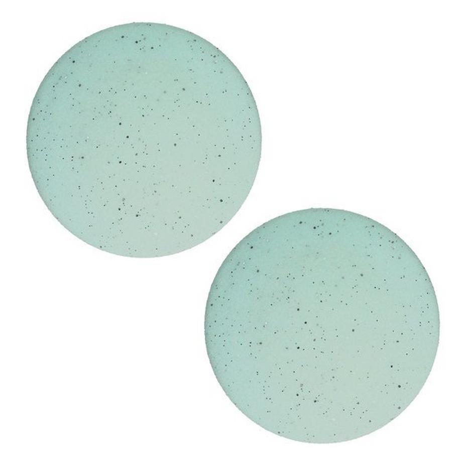 LUSTRE Lot de 2 disques de rechange (2x grain fin)