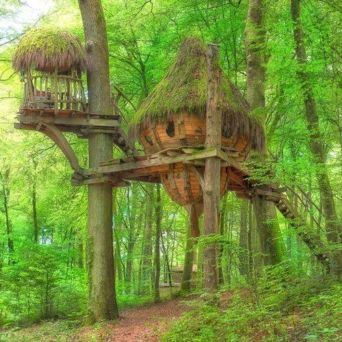 Image of Übernachtung Im Baumhaus «drommen» (für 2 Personen) Unisex