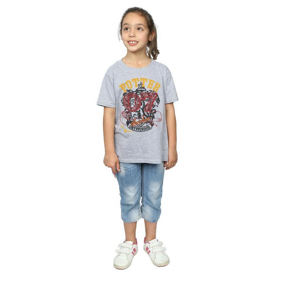Harry Potter  Gryffindor Seeker TShirt 