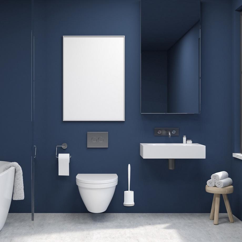 B2X  Toilettenbürste mit Wandhalterung 