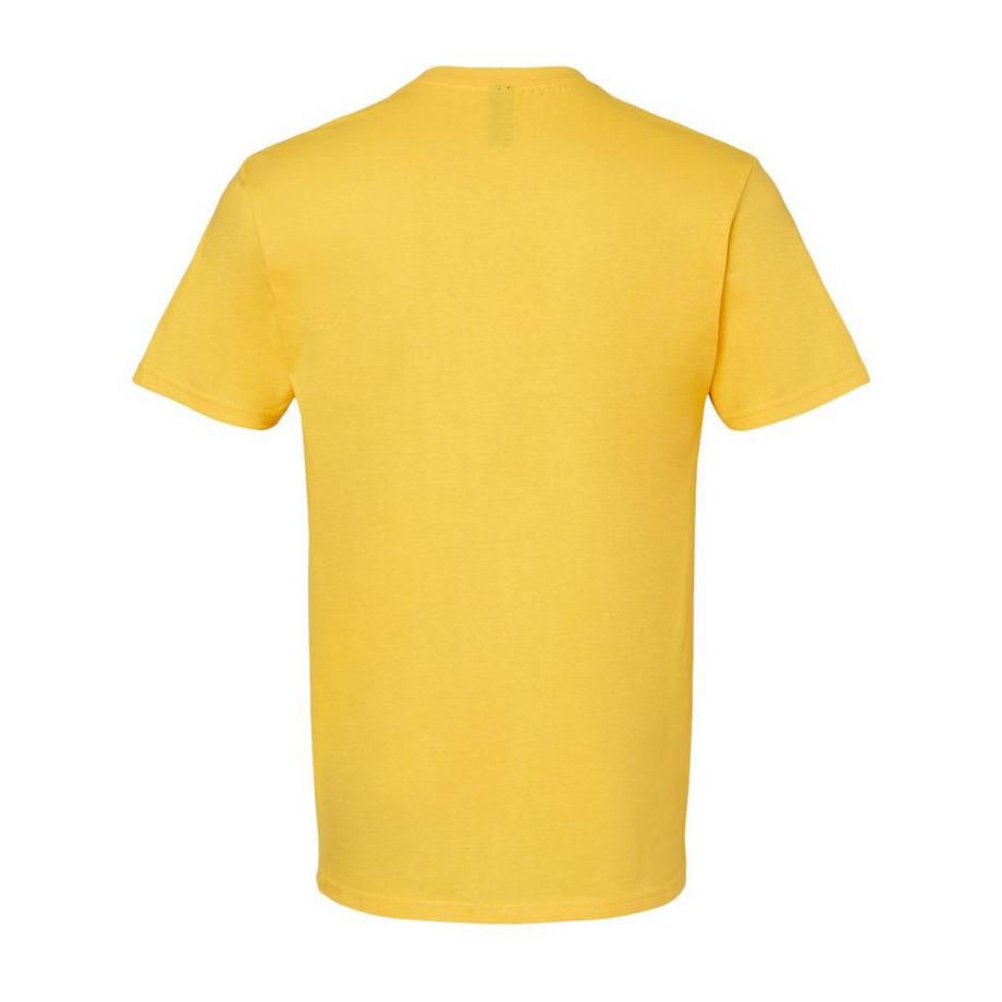 Gildan Softstyle T-Shirt  