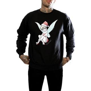 Disney  Fairy Sweatshirt 