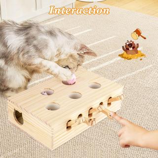 Activity-board  Interaktives Katzenspielzeug 