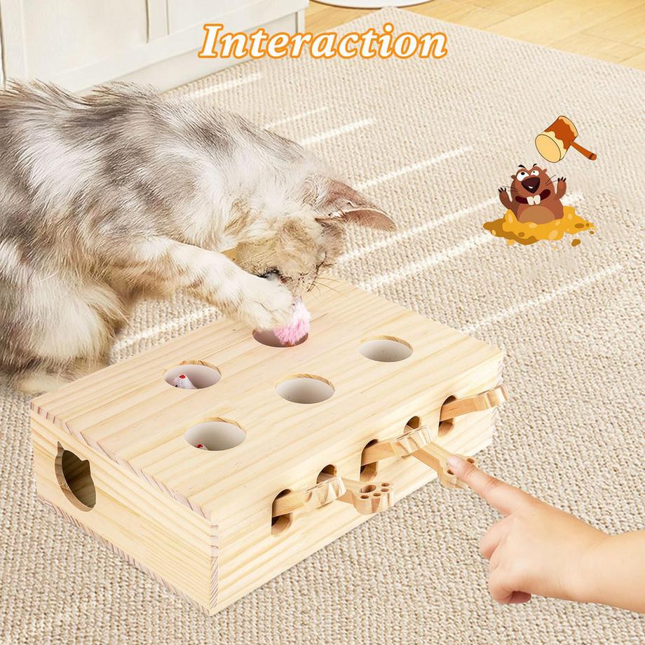 Activity-board  Jouet Interactif pour Chat 