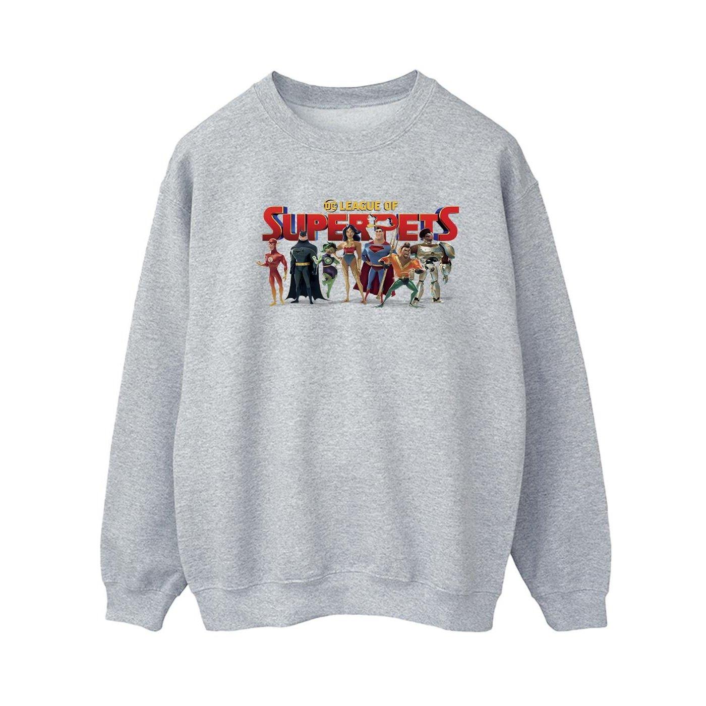 Image of Dc League Of Superpets Group Logo Sweatshirt Damen Grau XXL