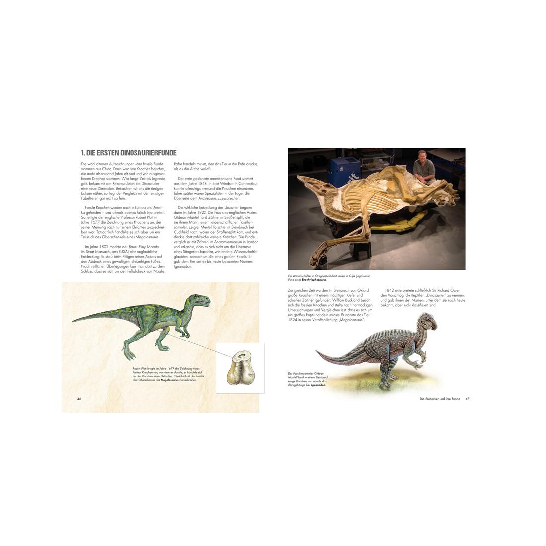 Kinderbuch "Dinosaurier" N/A Blätter 