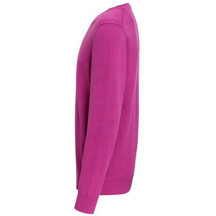 Asquith & Fox V-Ausschnitt Pullover  