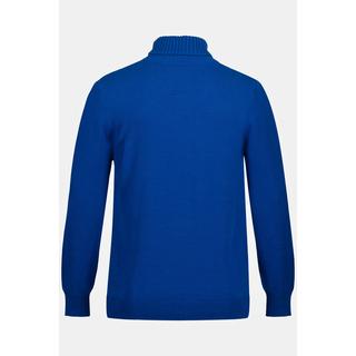 JP1880  Rollkragenpullover, Strick 