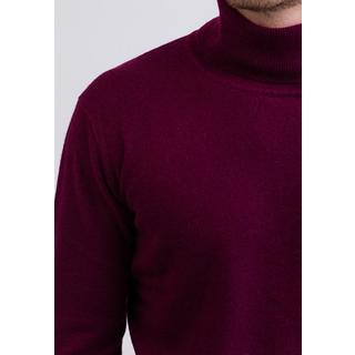 CASH-MERE.CH  Kaschmir Rollkragen Pullover 