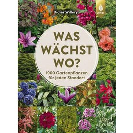 Was wächst wo? Willery, Didier Gebundene Ausgabe 