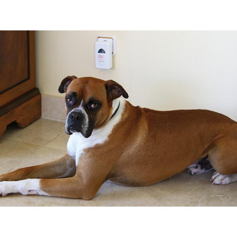 Pest Reject Repellente per parassiti ad ultrasuoni  