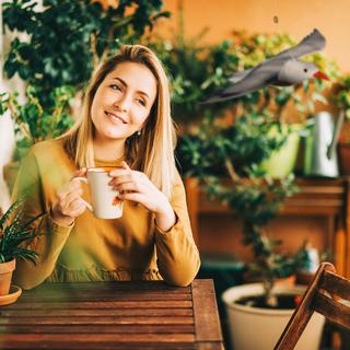 B2X Vogelschreck Möwe fliegen  