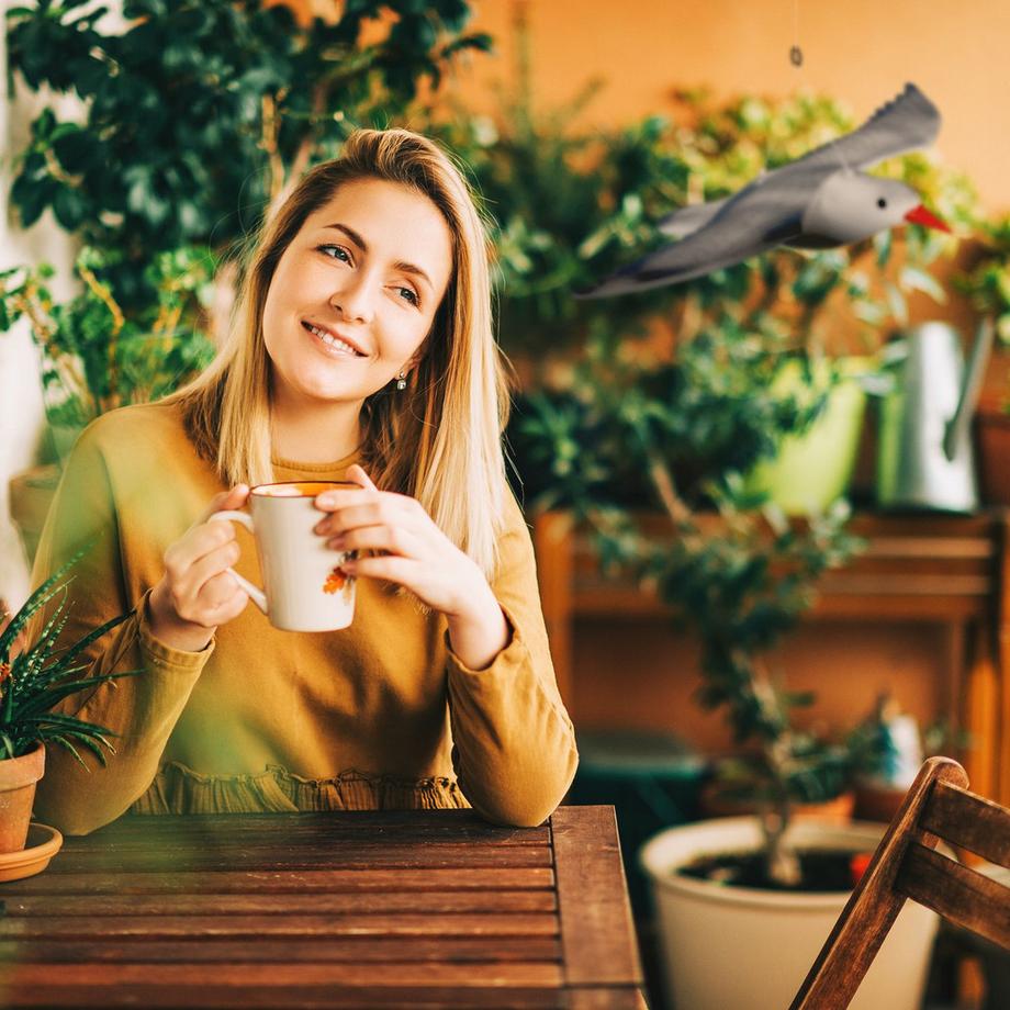 B2X Spaventa uccelli, gabbiano in volo  